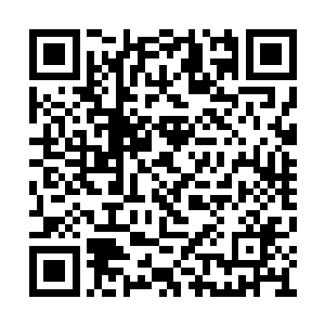 不光是鳍大而且贝海很快的看到了水面下的鲨鱼二维码生成