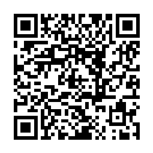 不关……呜呜……骆师兄的事……都是绮里的问题……二维码生成