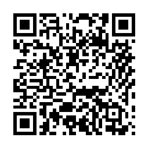 不具备的更加鲜明的特点――华丽到繁复的镜头语言和色彩运用二维码生成