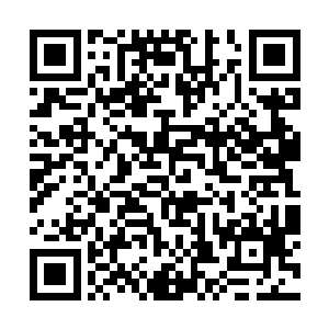 不再如前段时间才出现在他面前之时的那般苍白无助二维码生成