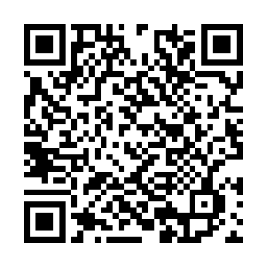 不再让这个家中的任何一个人再遭遇到任何的不幸二维码生成