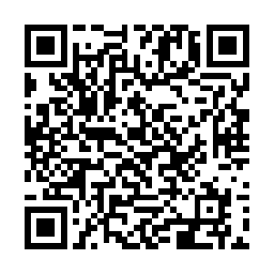 不准让任何人进去这次咱们就要让他修补店变成平地二维码生成