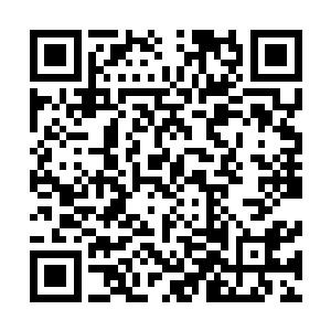 不出意外的话再经历两个月的时间就能再次进价到中期跳尸二维码生成
