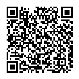 不到一年时间就将两京十三省的地方全部清理了一遍…能继续留下来的寥寥可数二维码生成