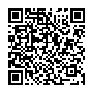 不到半个小时的时间就在安少的床边又重新支起了一张病床二维码生成