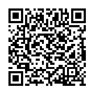 不动声色地弯腰俯身将断弦的桐木古琴抱了起来二维码生成