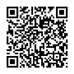 不发一言地伸手覆上百里清颜被砍伤的这只手肩膀二维码生成