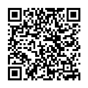 不可能像一条够一样的随时都可以放弃的……可是二维码生成