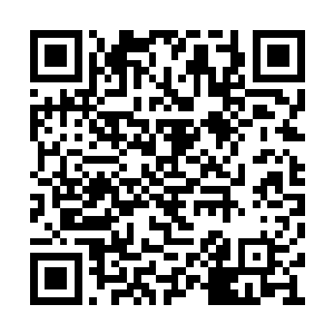 不可避免地看见了轿子旁边四个穿着不凡的仆妇二维码生成