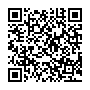 不同于追击包围他们的另一股庞大气息诡异的停在原地二维码生成