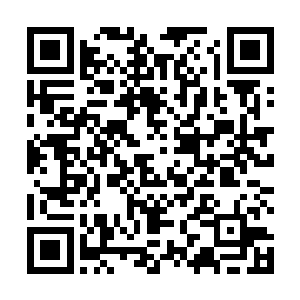 不善于隐藏自己真实表情的拉蒙正使出全速游向大巫岛二维码生成