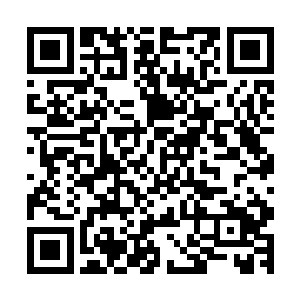 不大工夫就看见葛秋烟的丫鬟抱着一床毯子匆匆的也去了树屋二维码生成