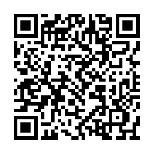 不如其他护卫奴隶主的奴隶那样带着戾气和野性二维码生成