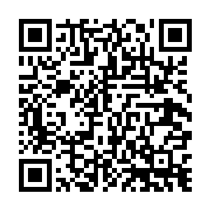 不如咱们搞个小动物救助站或者小动物救助基地什么的二维码生成