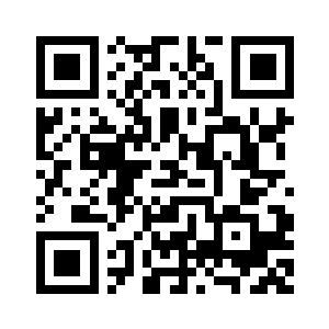 不如就当做这是一个美丽的错误二维码生成