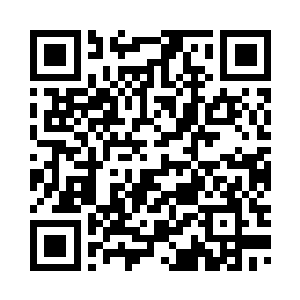 不如就待仙海鱼儿回来之后再改造二维码生成