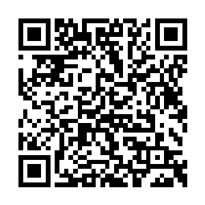 不如您就宣布这一次的三会大比团体赛的成绩吧二维码生成