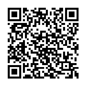 不如楚夫人还是亲自去泸州采点新鲜荔枝带回来二维码生成