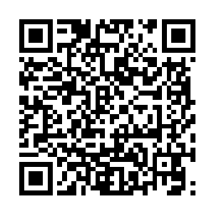 不如让青翠峰峰主云万天来做第九名护道者吧……二维码生成