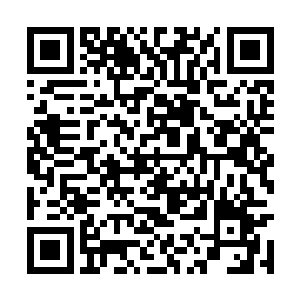 不如说她现在正在跟谭拓学习如何处理好这些政务二维码生成