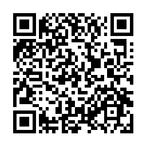 不少人决定一会就算那个饰演杀手的演员就算很普通二维码生成