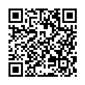 不少人堂而皇之的披着软叶子的半身甲二维码生成