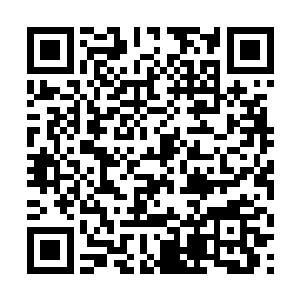 不少人已经忍不住动手把那些被绑的人揍的鼻青脸肿二维码生成