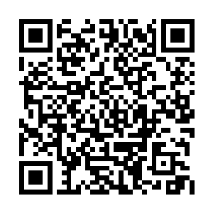 不少人已经趁机偷偷乘坐快艇离开了这是非之地二维码生成