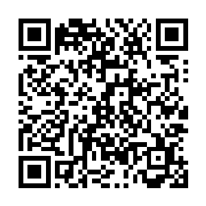 不少人怀着一颗谢意的心将手中的牌子投进珍宝阁的票箱中二维码生成