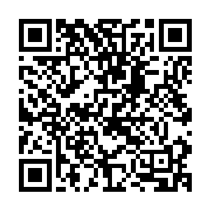 不少碎肉还溅到了一旁没有出手的世家的人的身上乃至于脸上二维码生成
