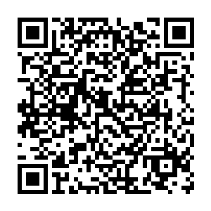 不少车主都摇下车窗看着前面那个不顾红绿灯一路闯过去的陆地巡洋舰二维码生成