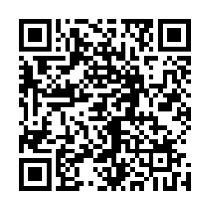 不就是你要再学校里面成员高质量的搞个不卖身的牛郎馆嘛二维码生成