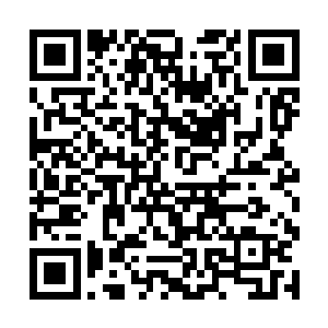 不就是前不久现身那曙光帝国王家的那位王家老祖么二维码生成