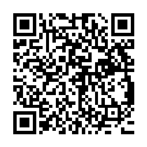 不就是希望他能够本着无知者无畏的初心闯过这三个月呢……二维码生成