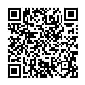 不就是碧罗果会上这西海龙宫的十王子见色起意二维码生成