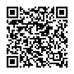 不得不把她最爱的小鸡一个人留在了冰冷的鸡笼里二维码生成