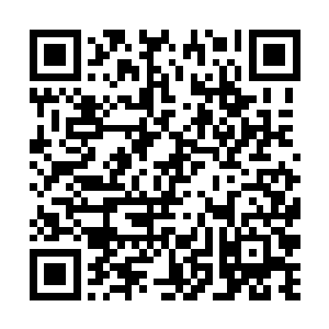 不得不说这一场终极对决彻底引爆了人们的音乐热情二维码生成