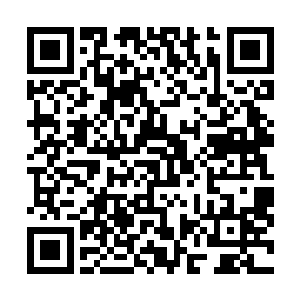 不得归乡的断肠人唯有寄托于能从春风中闻到故乡的气息二维码生成