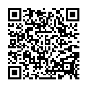 不想同她争什么……可是……可是我控制不住自己不去争二维码生成