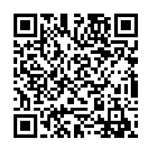 不想小心翼翼地应对宋贵妃跟沁昕公主还有其他的人二维码生成