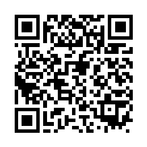 不愧是能够战胜五只青头金眼兽的臭丫头二维码生成