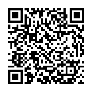 不把他们折磨得求生不得求死不能是绝对不会服气的二维码生成