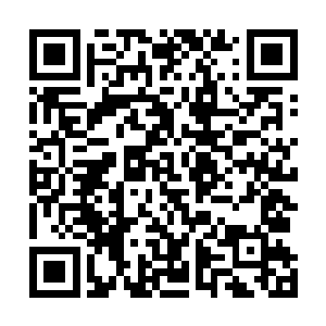 不排除独臂狂人沈凡借用了某种符箓毁灭乌鸦道人的肉身二维码生成