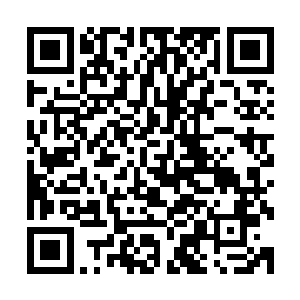 不提别的就光看这作料就知道只要是烹饪的手艺没有太差到家二维码生成