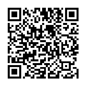 不提整座基地充斥着多少连丁铃铛都见所未见的尖端技术二维码生成