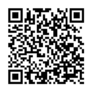 不敢让人去检查发病的原因那为何一直强调是林医生的误诊二维码生成