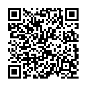 不断地又从沙盘里取出作为代表各军将士的石子二维码生成