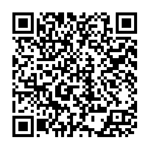 不断地想办法将二十多年前在苏丛盛身边伺候的人都给顺藤摸瓜地弄出来二维码生成