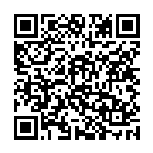 不断的出现大湖里那些从来没有被人类发现过的生物二维码生成