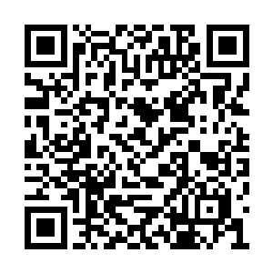 不断的向着张毅问询遥远的中国究竟是什么样子二维码生成